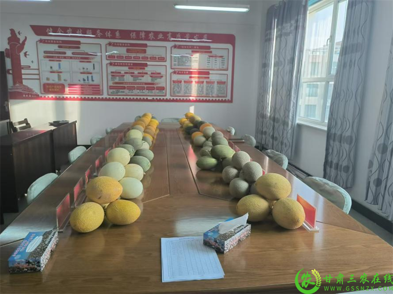 瓜州县现代农业技术服务中心召开有机蜜瓜新品种鉴评会-1.png