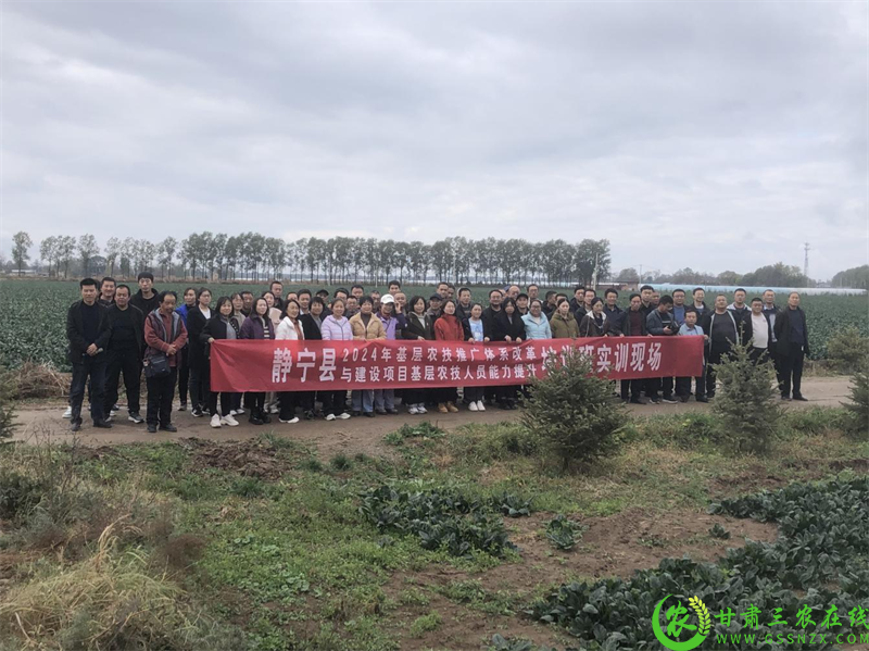 静宁县2024年基层农技推广体系改革与建设项目基层农技人员能力提升培训班圆满结束5.png