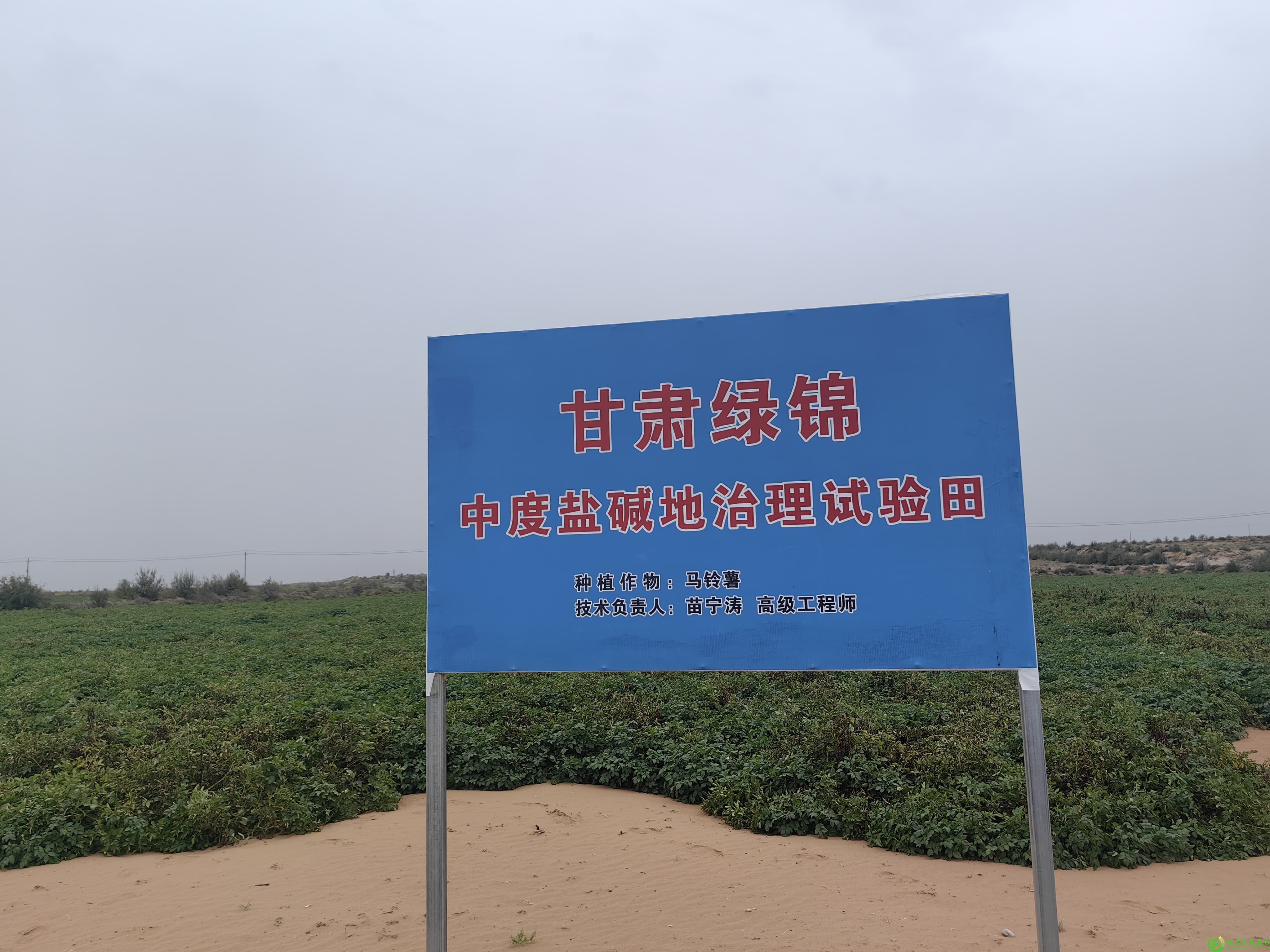 微信图片_20241015193625.jpg