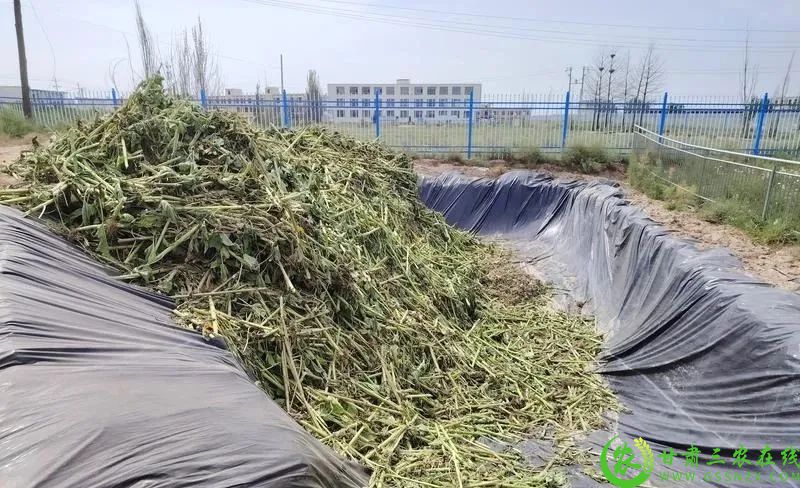 640_副本.jpg