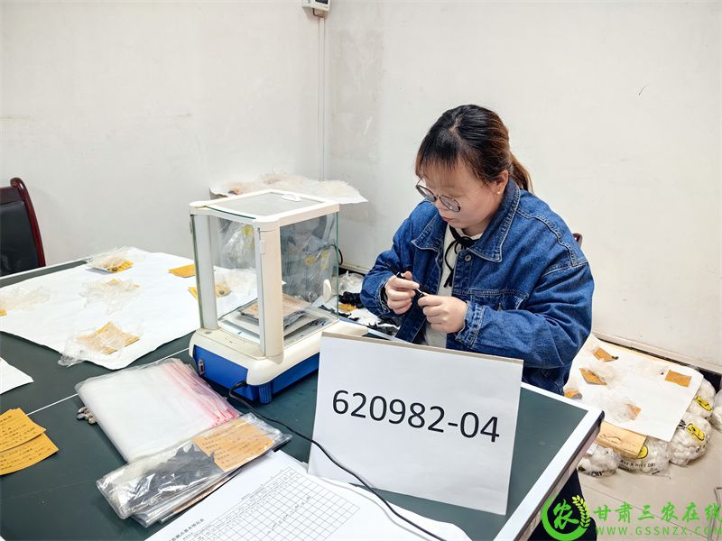 620982-04称重.jpg