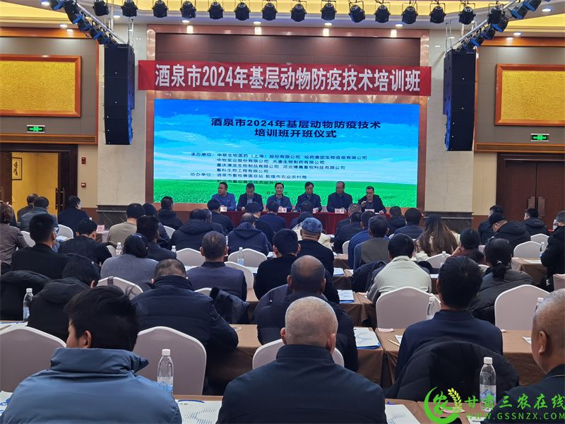 会场全景.jpg