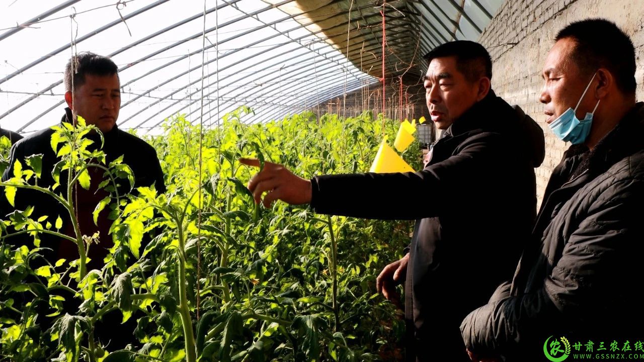 瓜州县技术人员指导农户种植技术.jpg