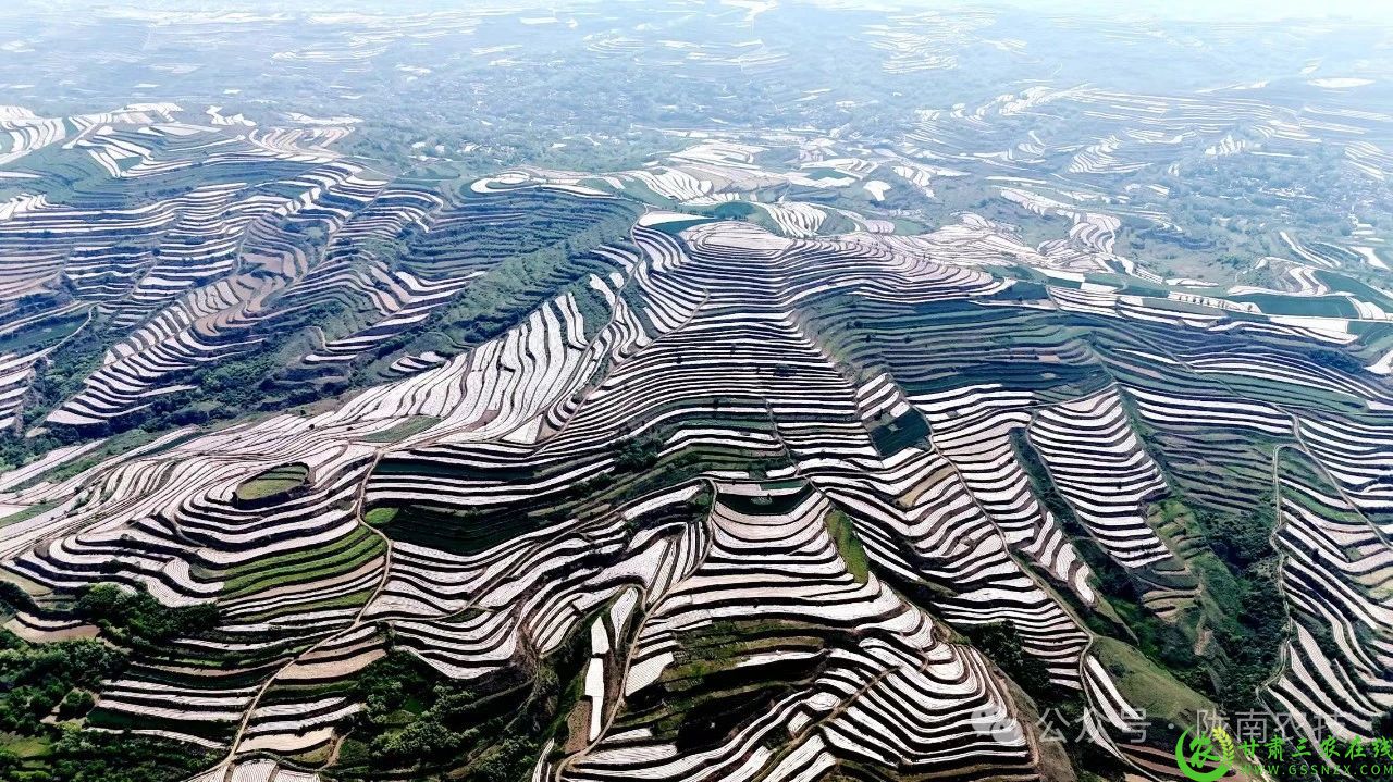 微信图片_20241230140637.jpg