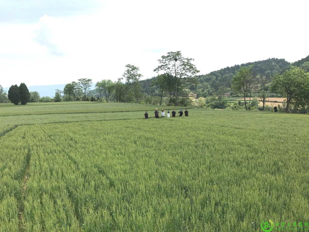 微信图片_20250107105315.jpg