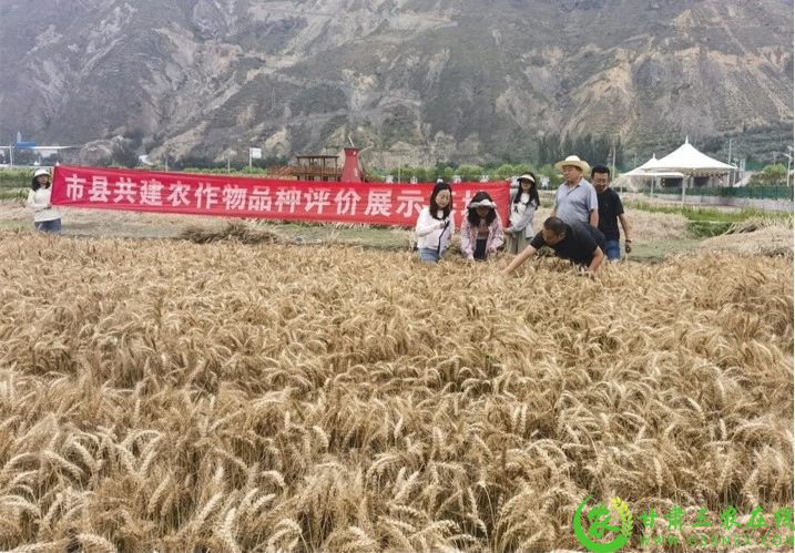 微信图片_20250107105329.jpg