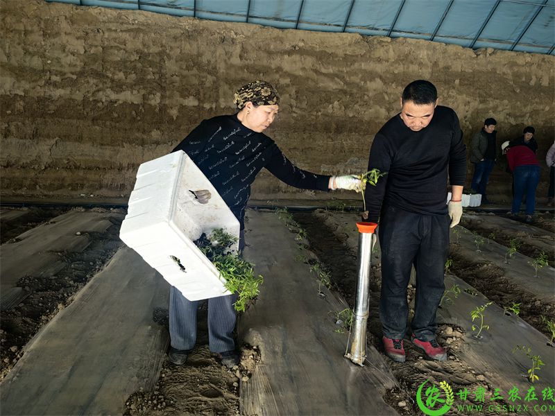 微信图片_20250206103020.jpg