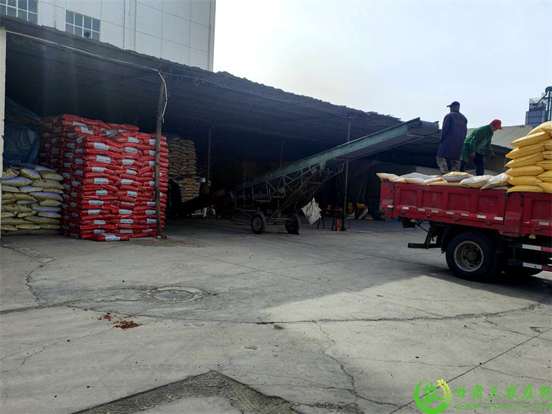 2.购买的化肥正在装车.jpg