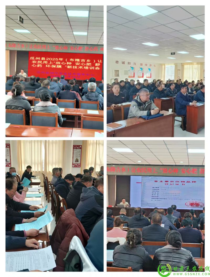 微信图片_20250219154358.jpg