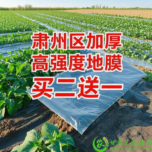 图片2(1).png
