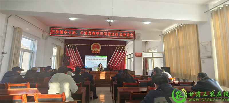 图片10.png