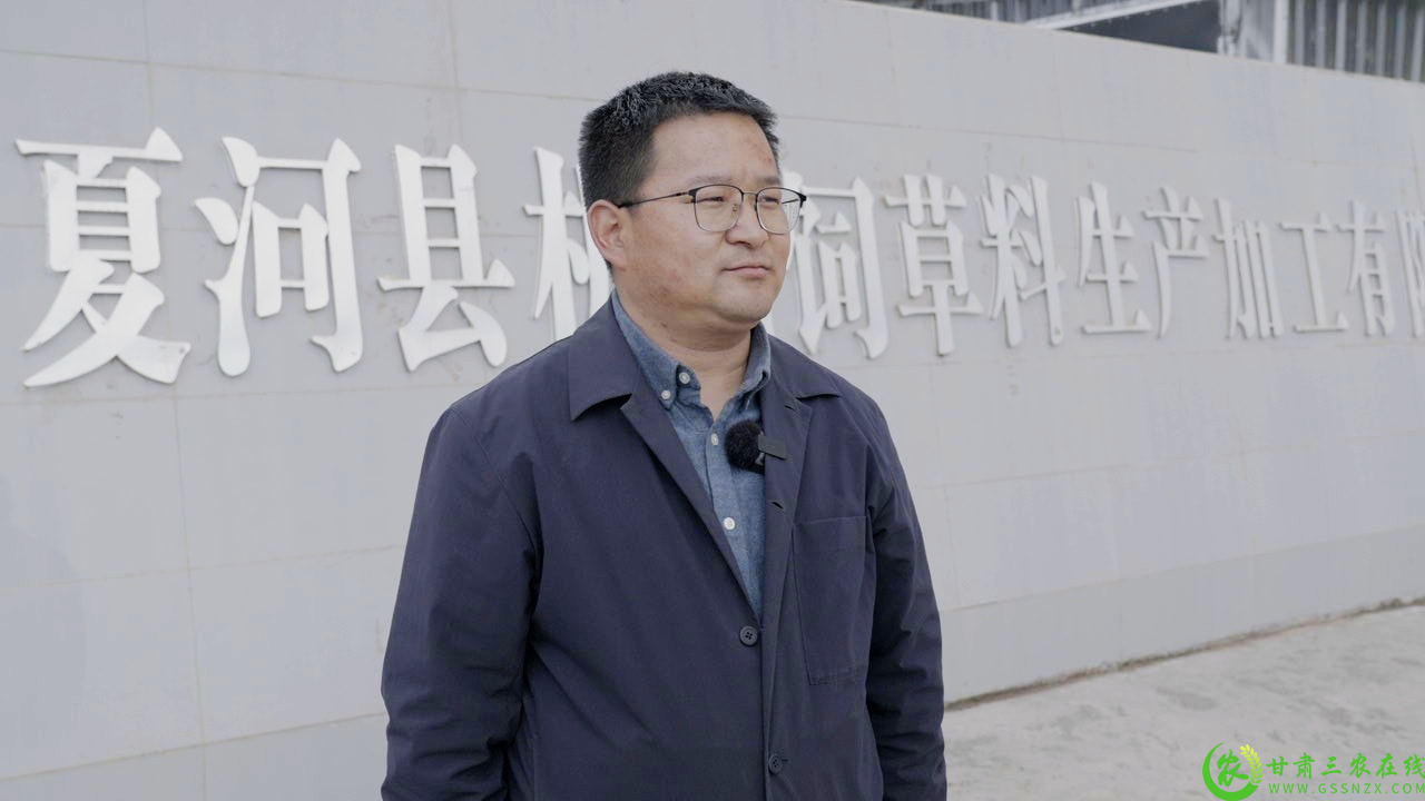 C8817T01(1).png