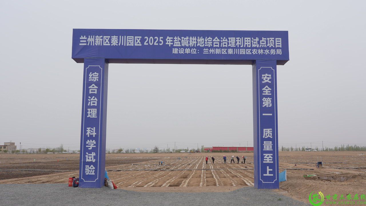 C8855T01.JPG