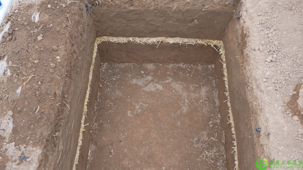 C8823T01.JPG