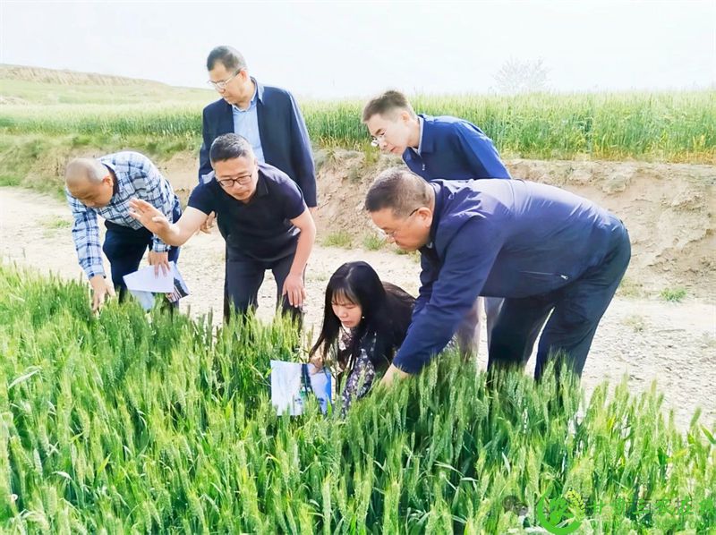 微信图片_20250518134936.jpg
