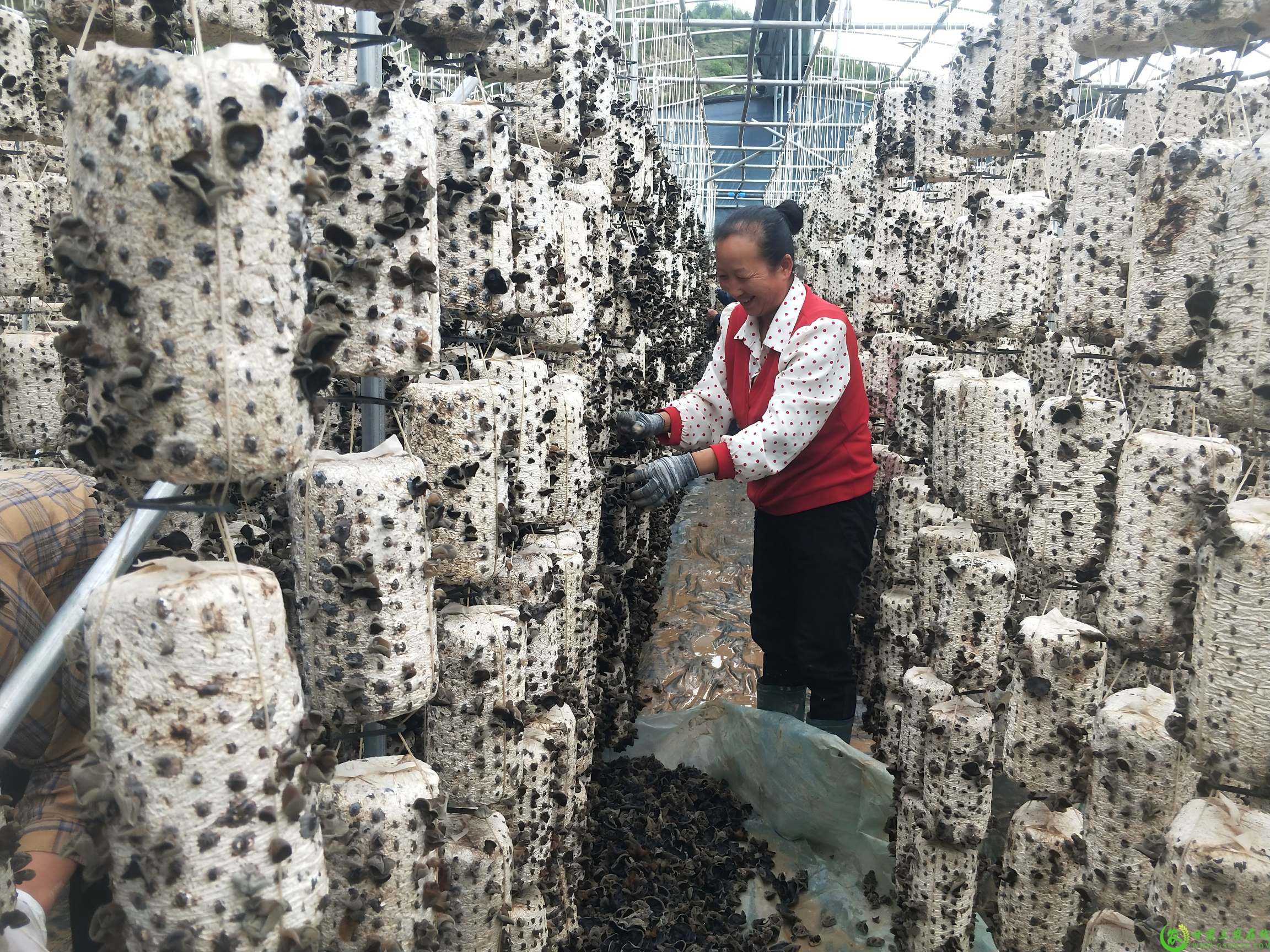 微信图片_20250604094100(1).jpg
