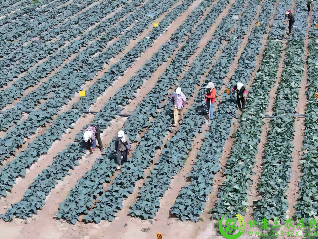 图片2(1).png
