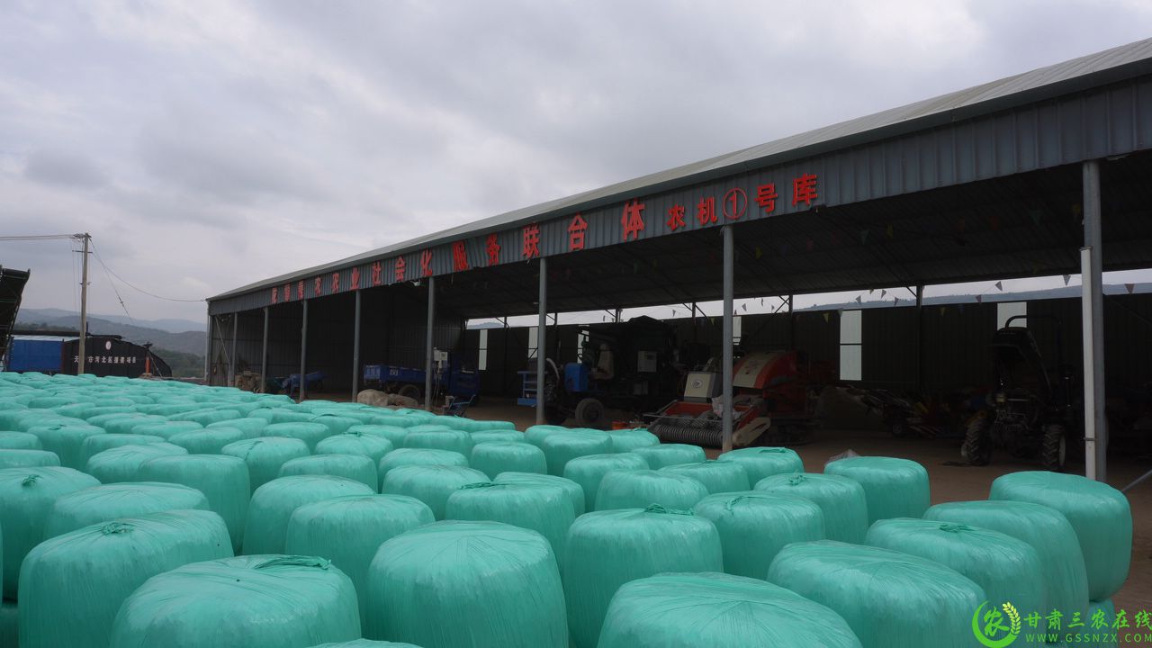 C0395T01.JPG