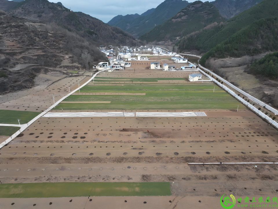 DJI_20250313164437_0177_D.jpg