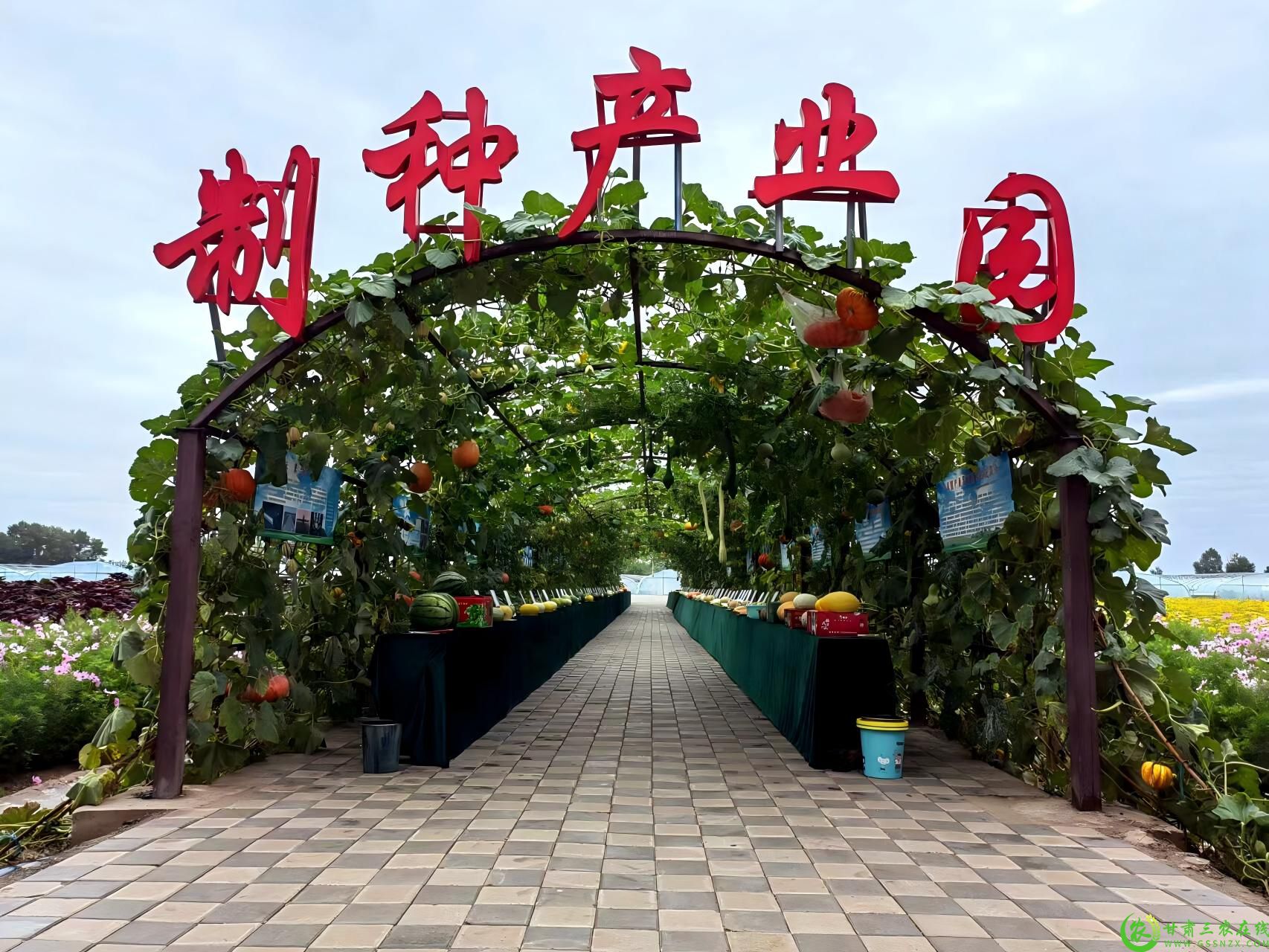 3.制种产业园(1).jpg