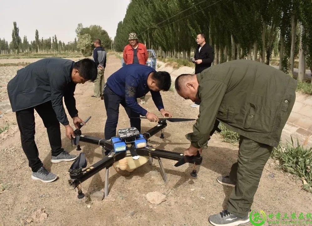 技术员在检查植保无人机.jpeg