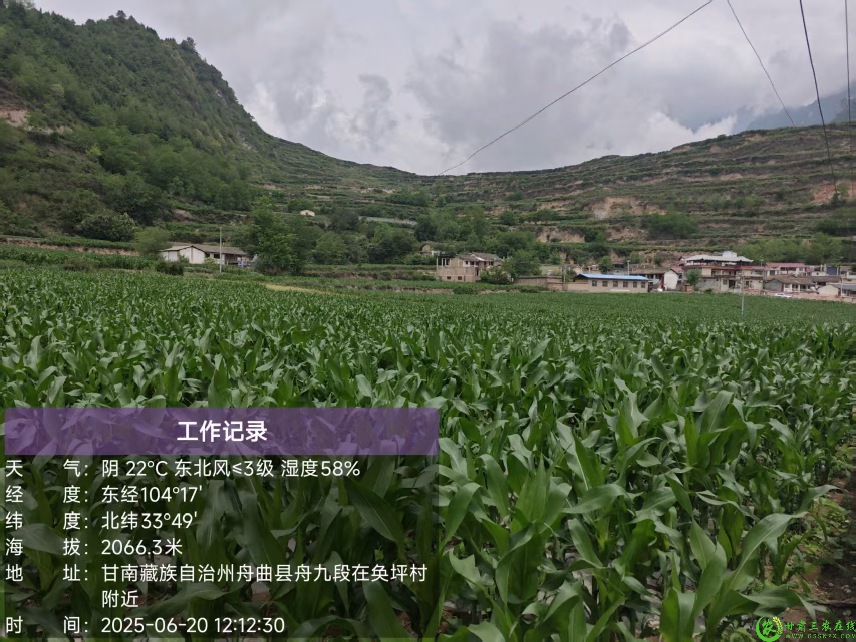 图片11(1).png