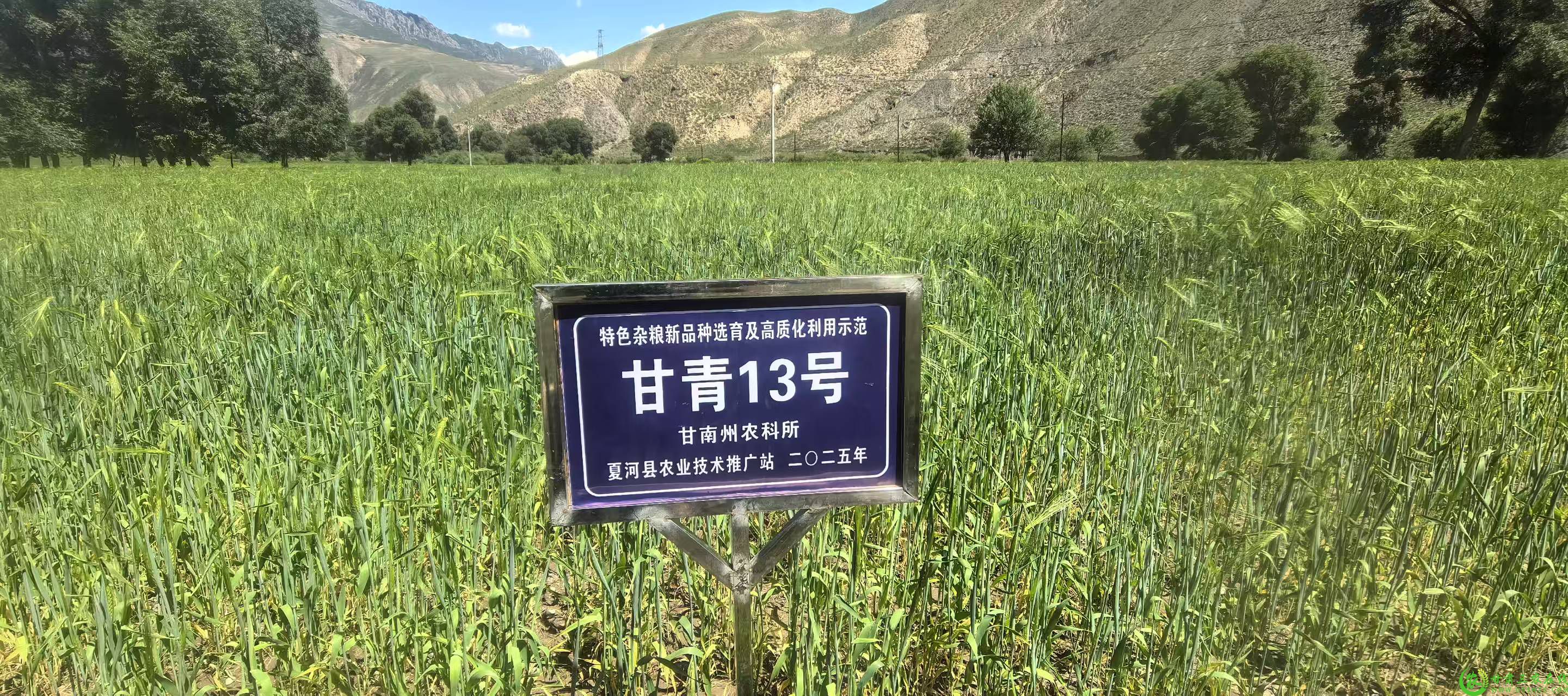 微信图片_20250628152022.jpg