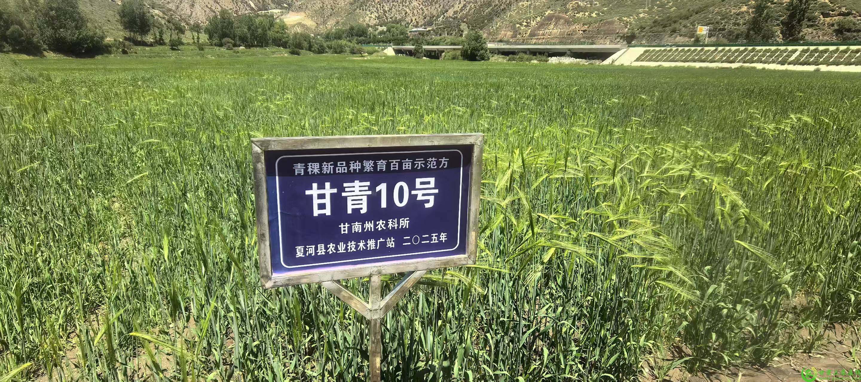 微信图片_20250628152027.jpg