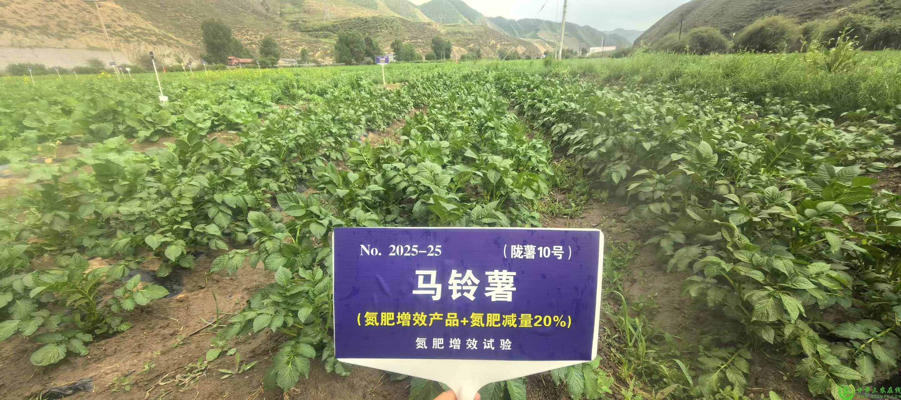 微信图片_20250628152031.jpg
