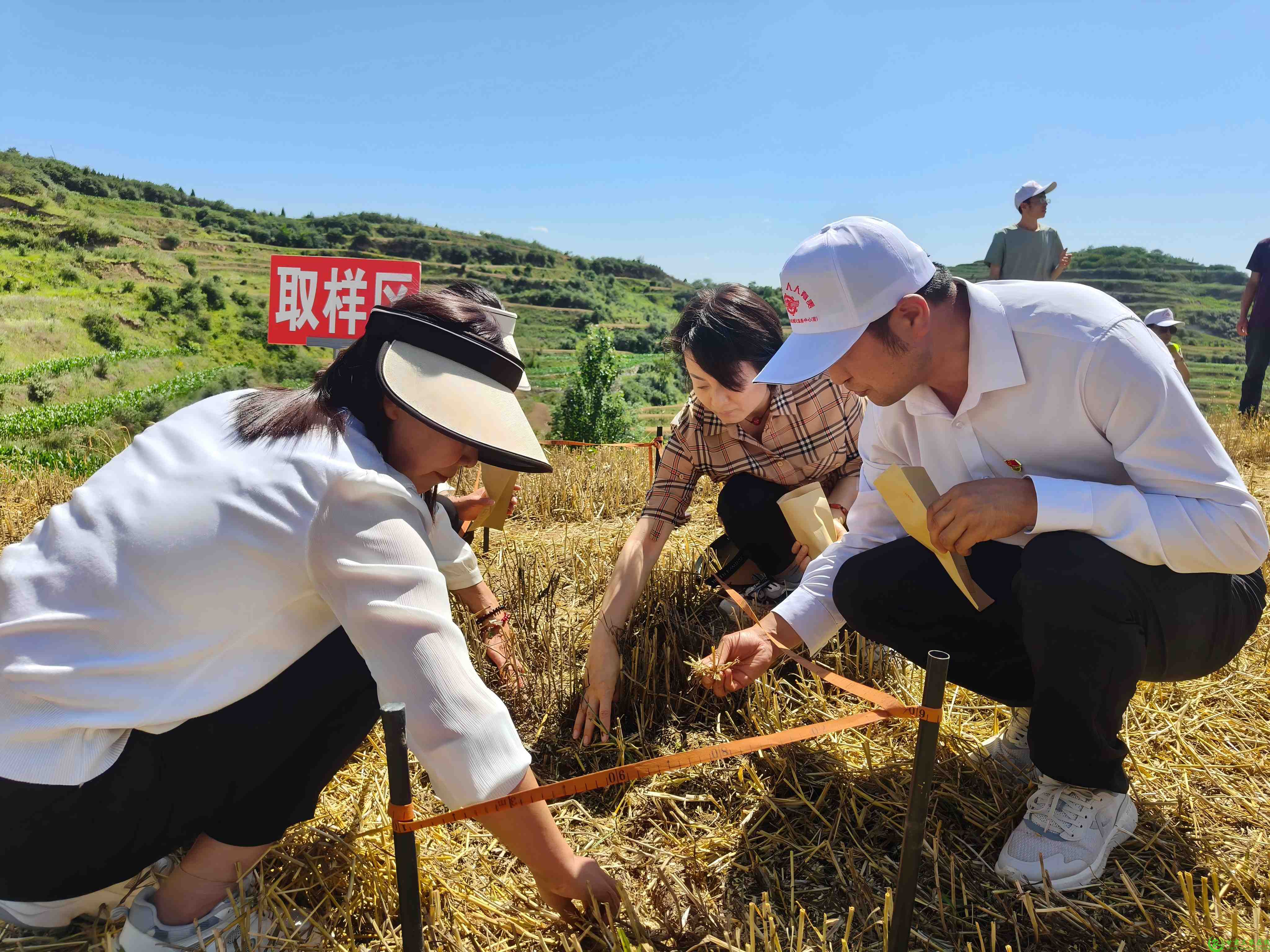 微信图片_20250701151703(1).jpg