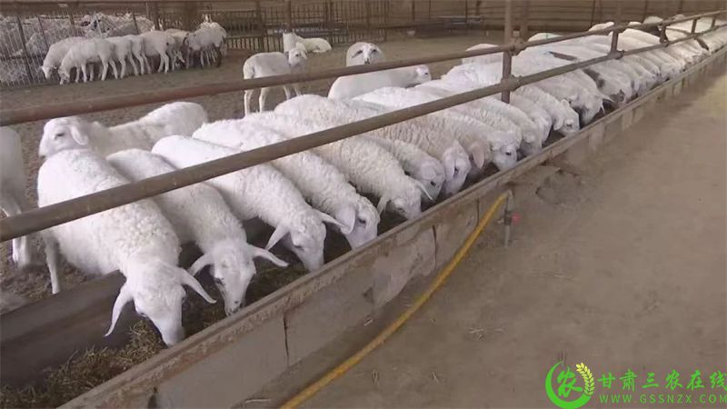 微信图片_20250702190614.jpg