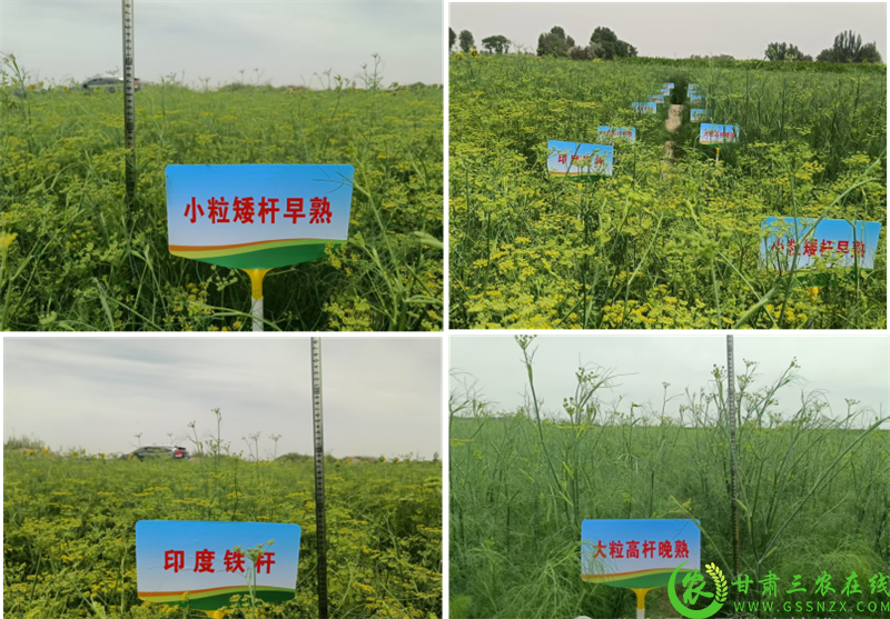 微信图片_20250702211942.png