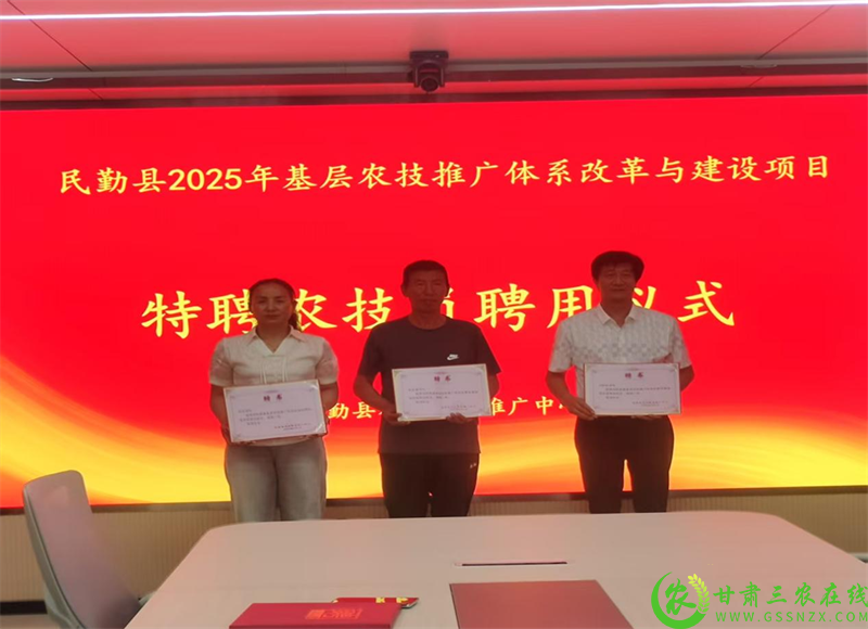 微信图片_20250702235139.png