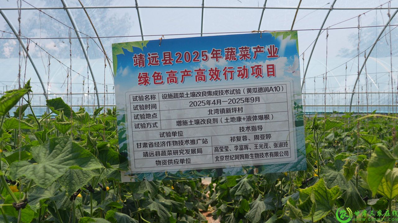 C9942T01.JPG