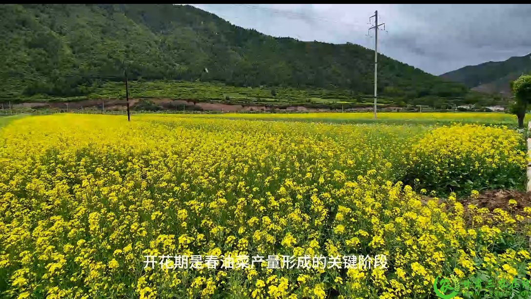 微信图片_20250705100315.jpg