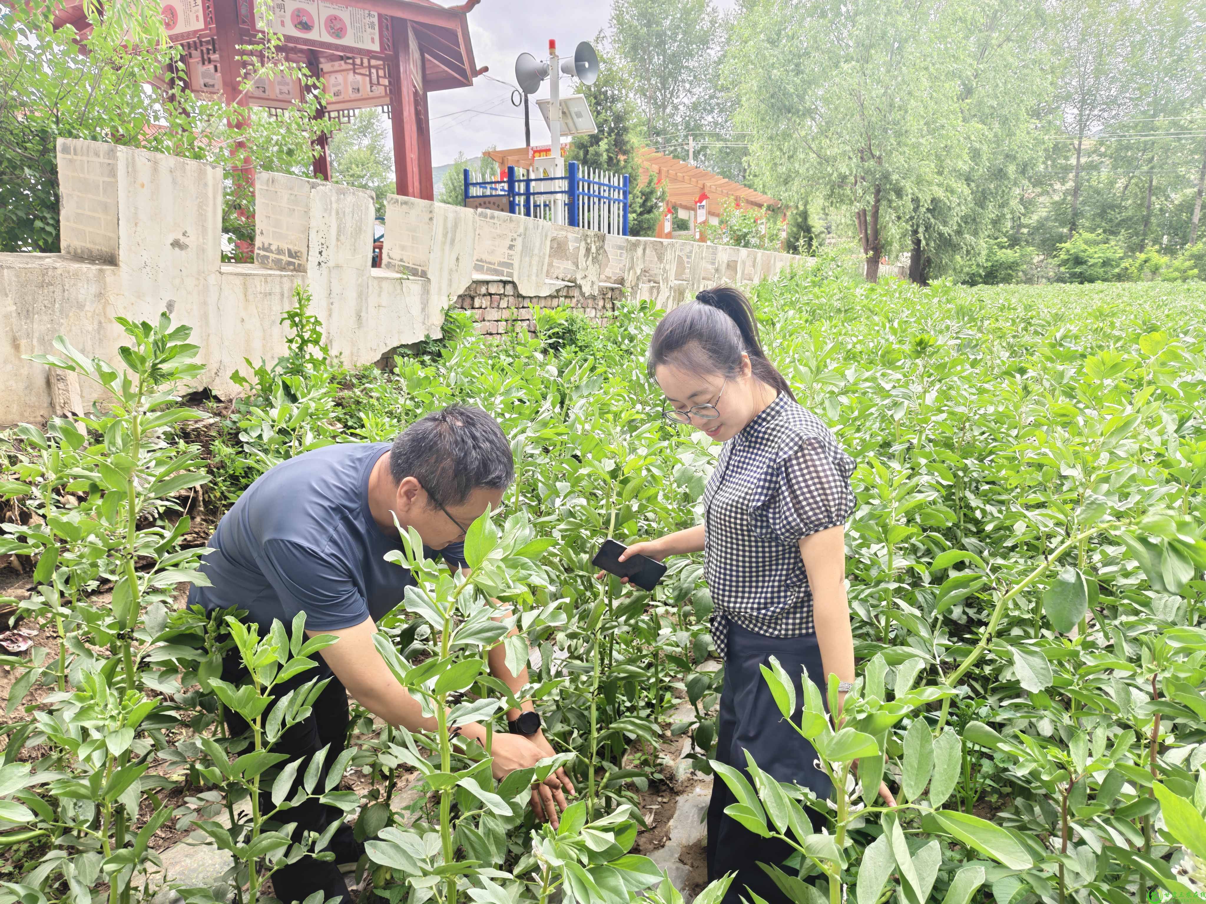 微信图片_20250705112718(1).jpg