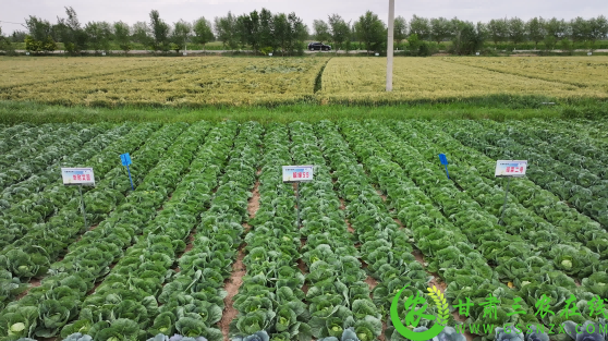 微信图片_20250707104423.png