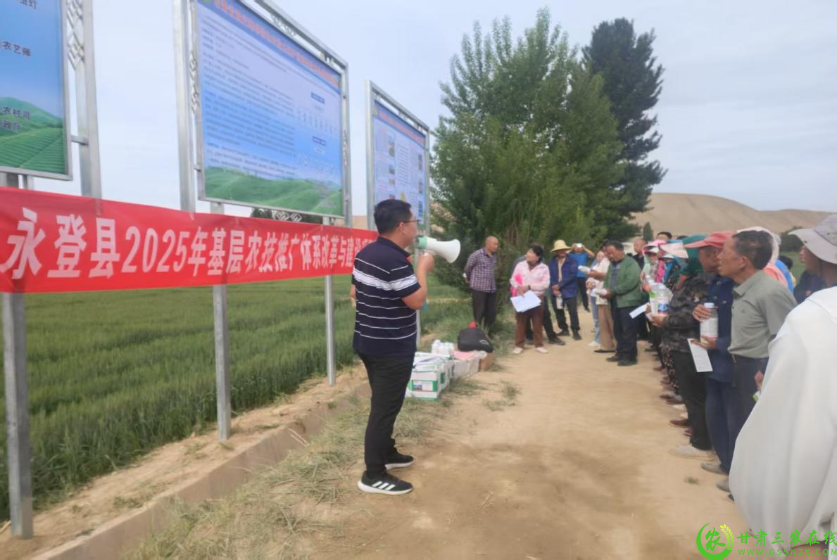 图片1 (2).png