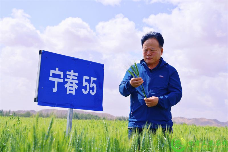微信图片_20250716071725.jpg