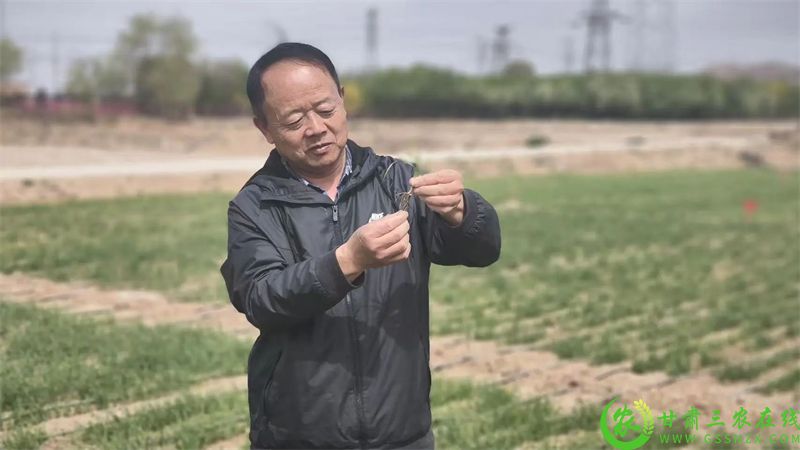 微信图片_20250716073221.jpg
