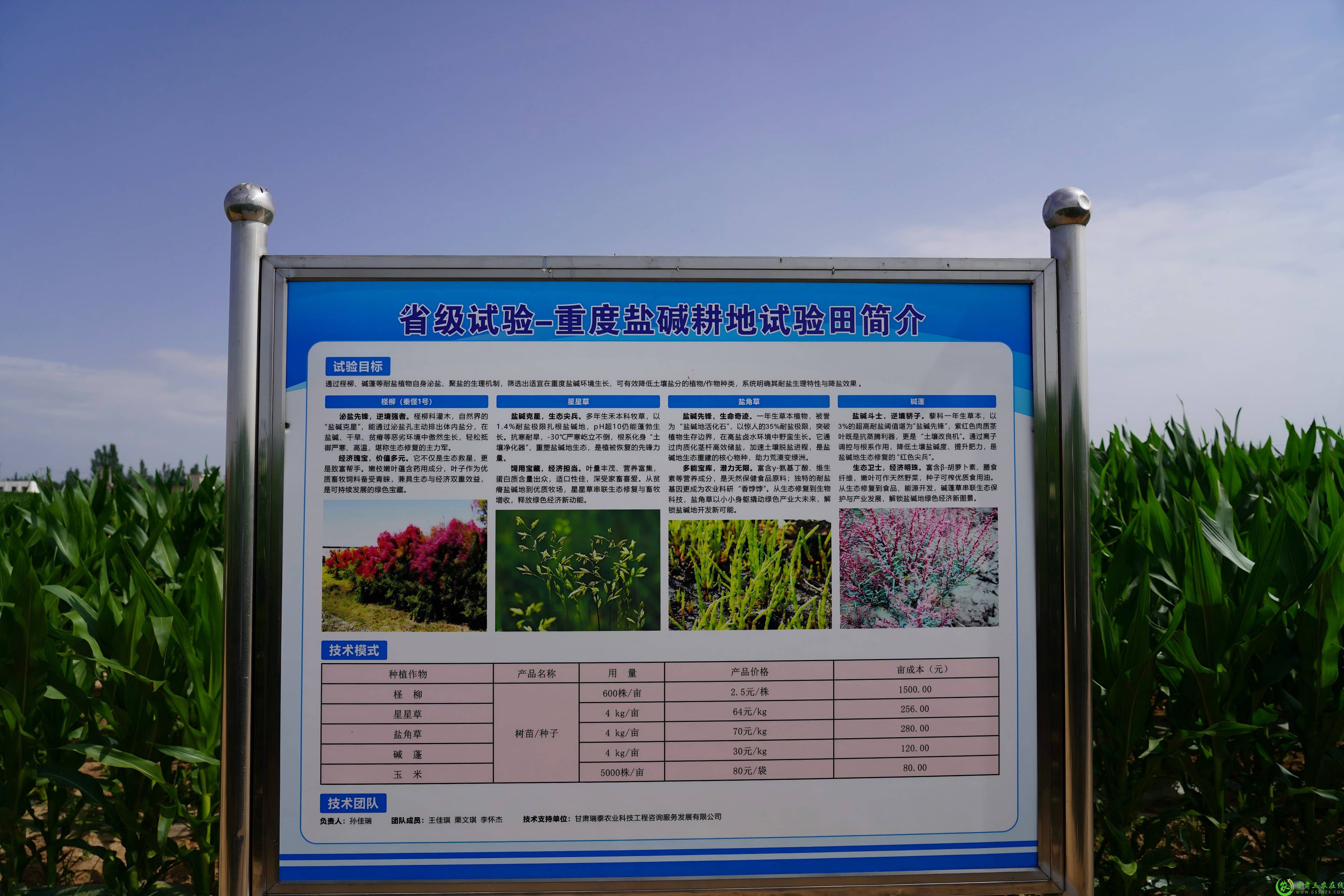 DSC02831(1).jpg