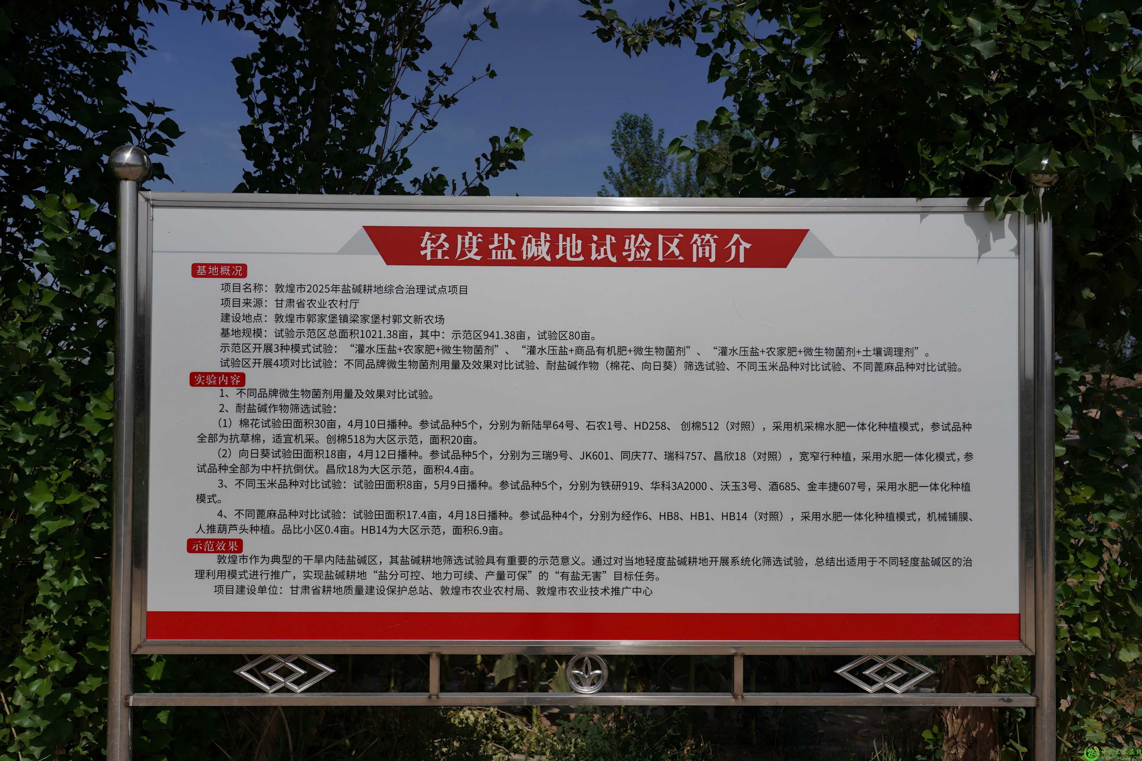 DSC03329(1).jpg
