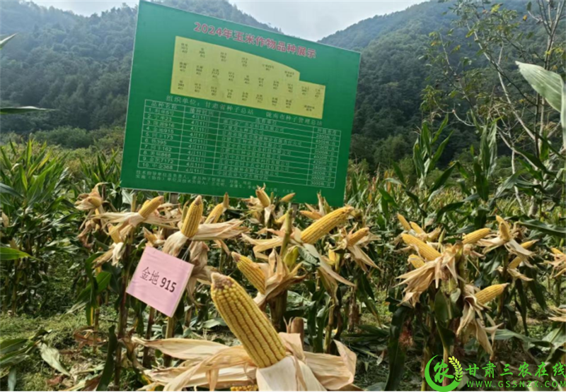 微信图片_20250719003933.png