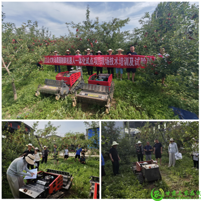 微信图片_20250719004612.png