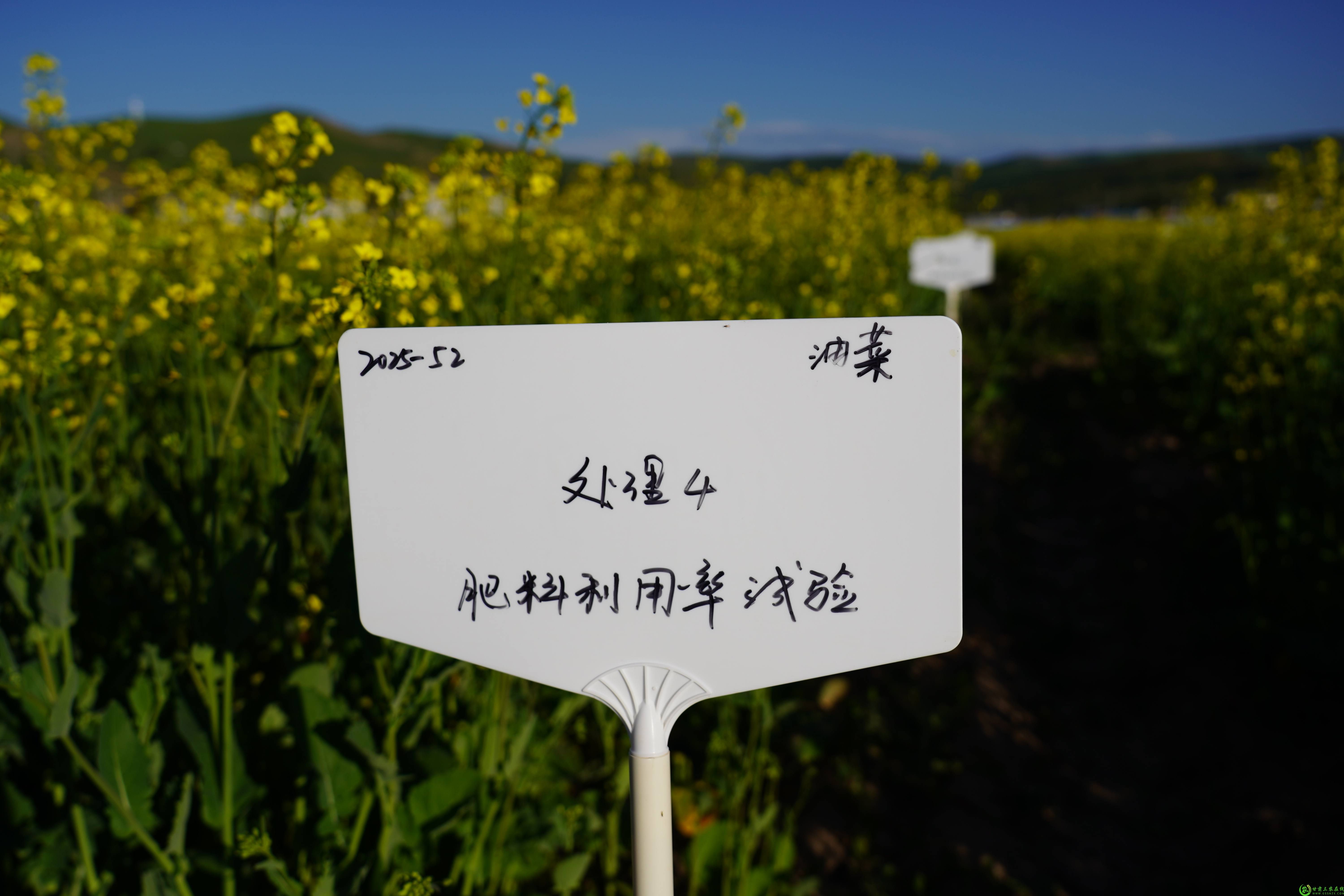 DSC02437(1).jpg