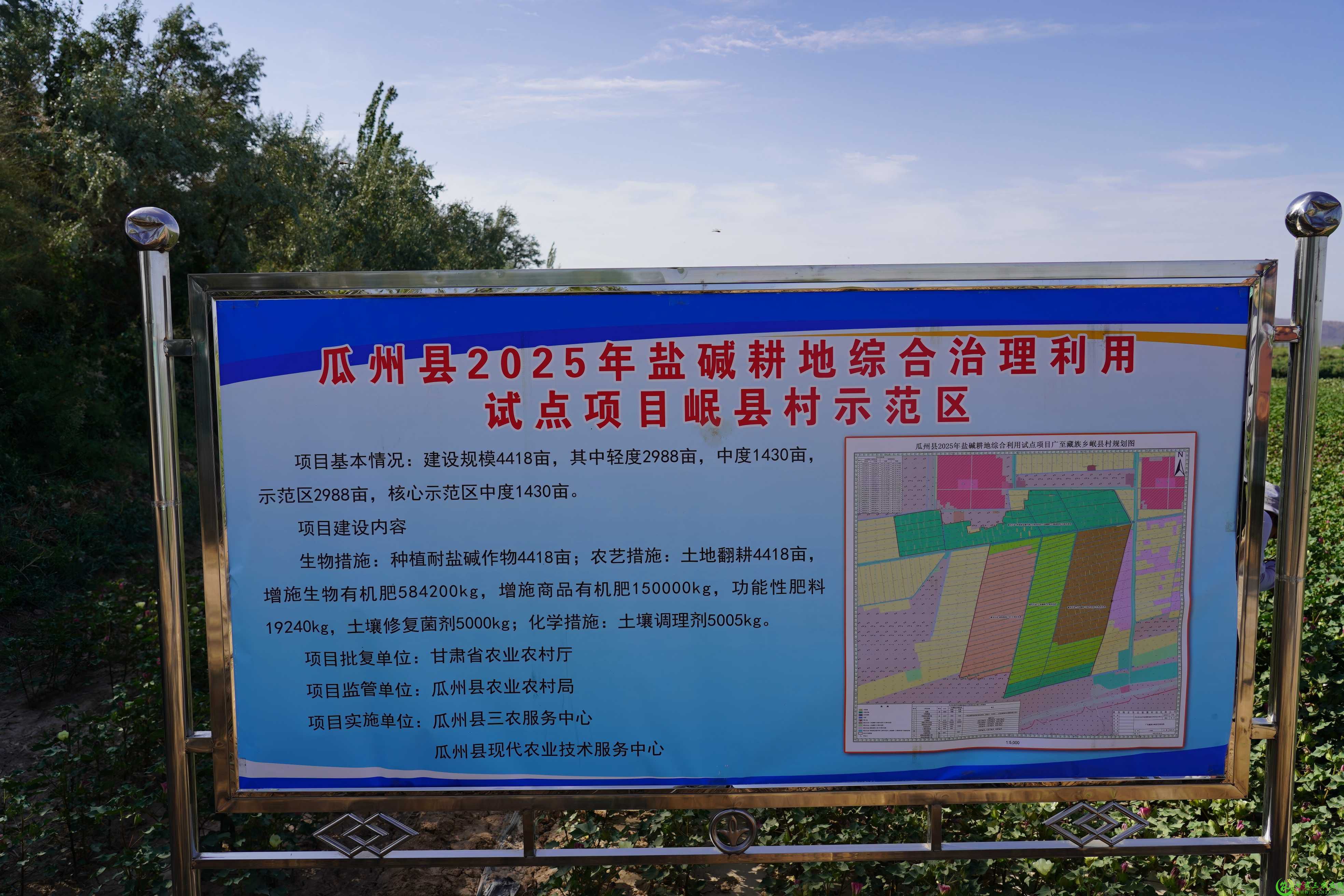 DSC03105(1).jpg