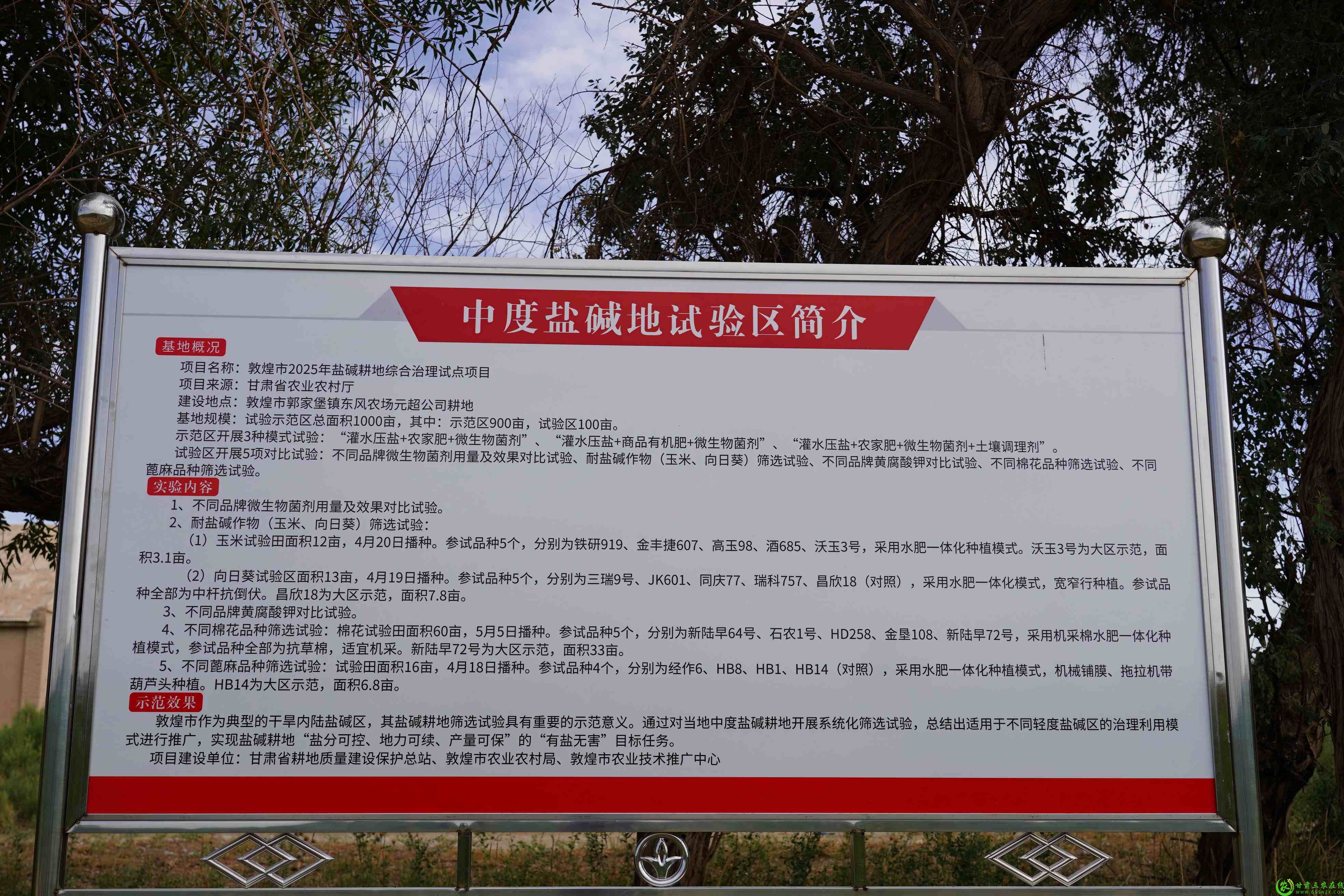 DSC03373(1).jpg