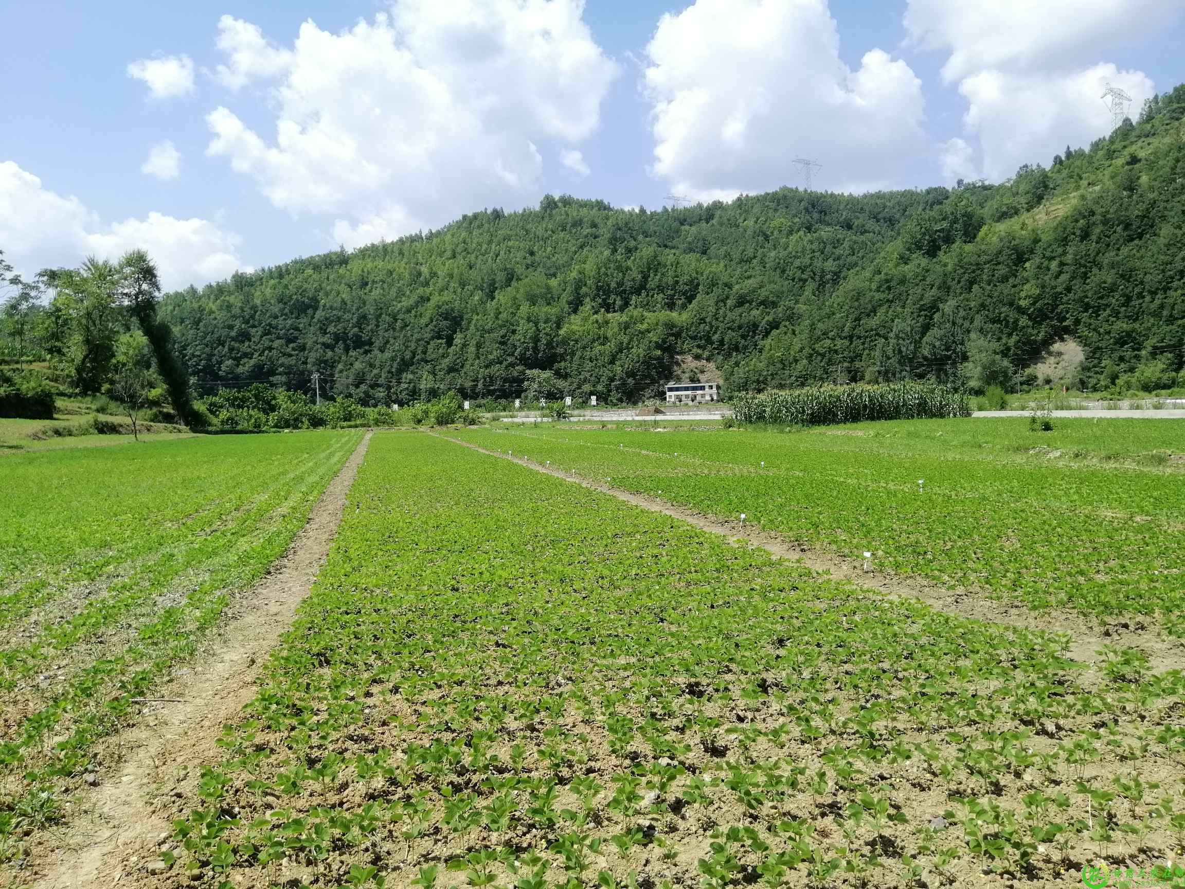 微信图片_20250716090229(1).jpg