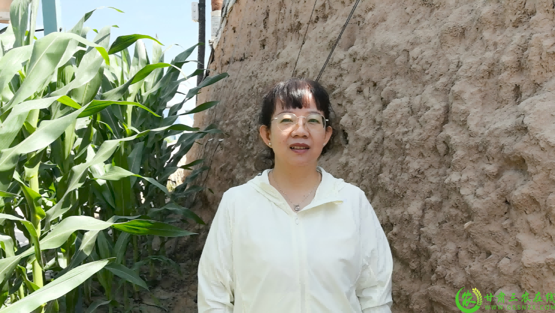 微信图片_20250722114916(1).png