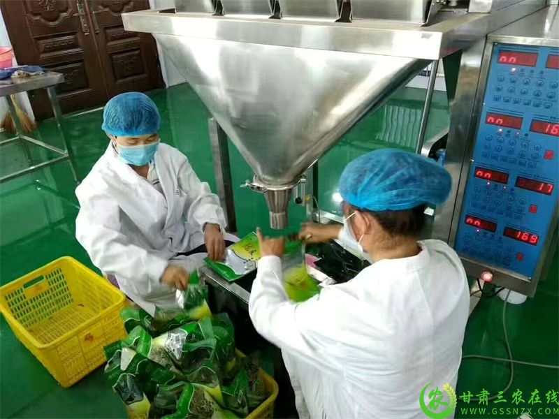 1.工人们将颗粒饱满的瓜子分装入袋.jpg
